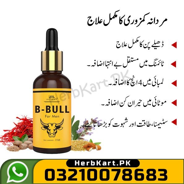 Big Bull Oil 